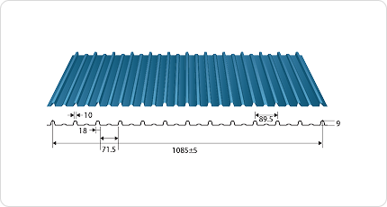 13 ribs